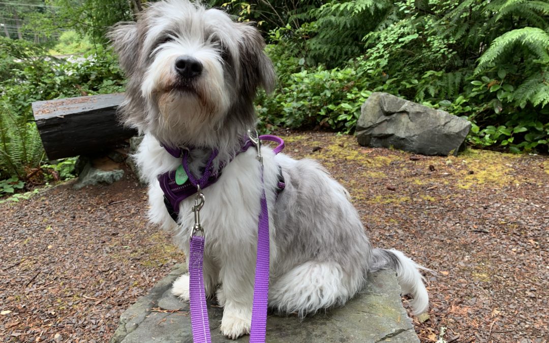 I found this rock on our walk!