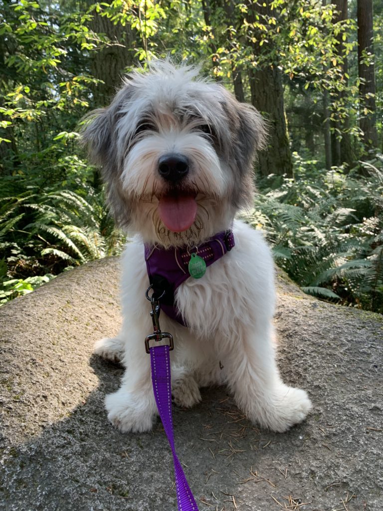 Trail hiking rest stop