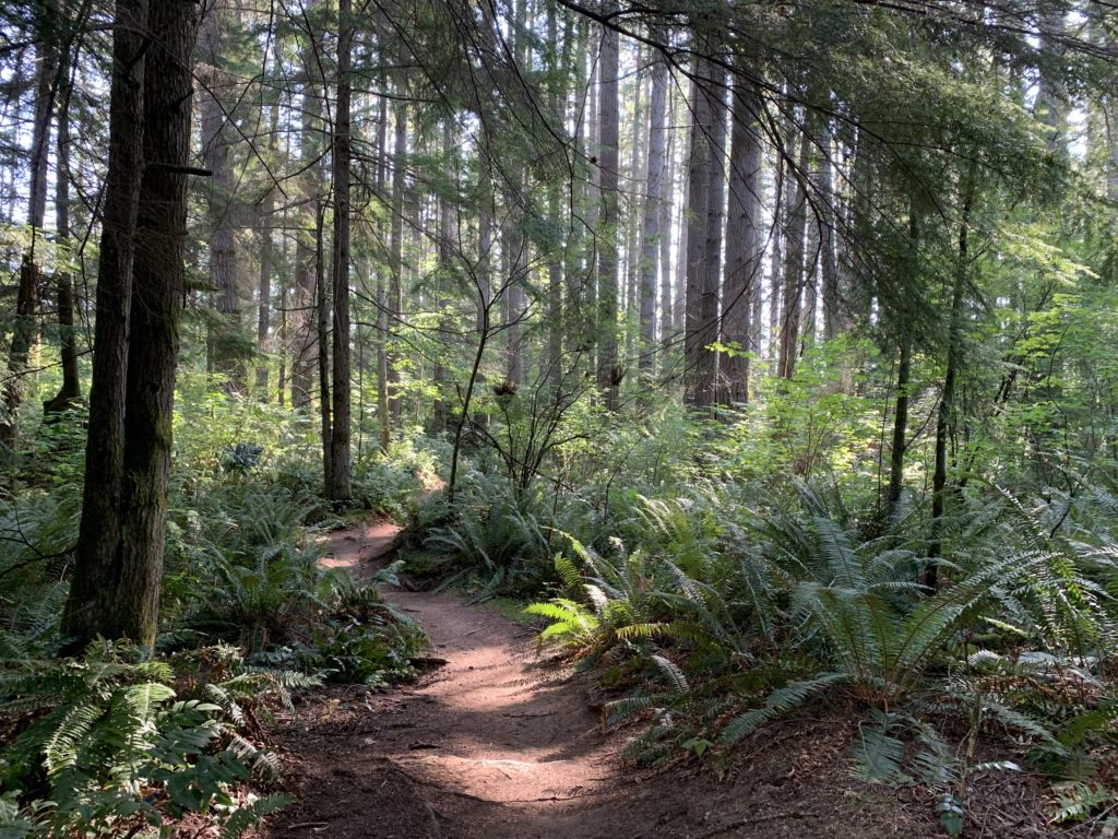 Paradise Lake Conservation Area