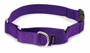 Pet Safe Matingale Collar