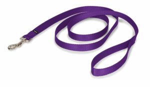 Pet Safe Nylong Leash