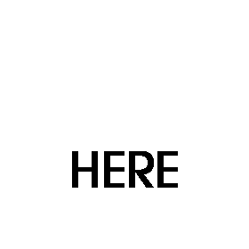 Place Your Ad Here!